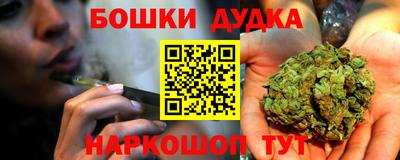 стафф Камышлов